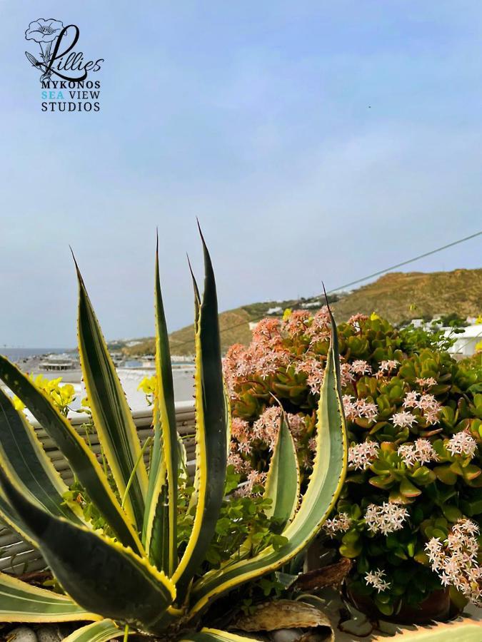 Lillies Mykonos Sea View Studios Tourlos Exteriör bild